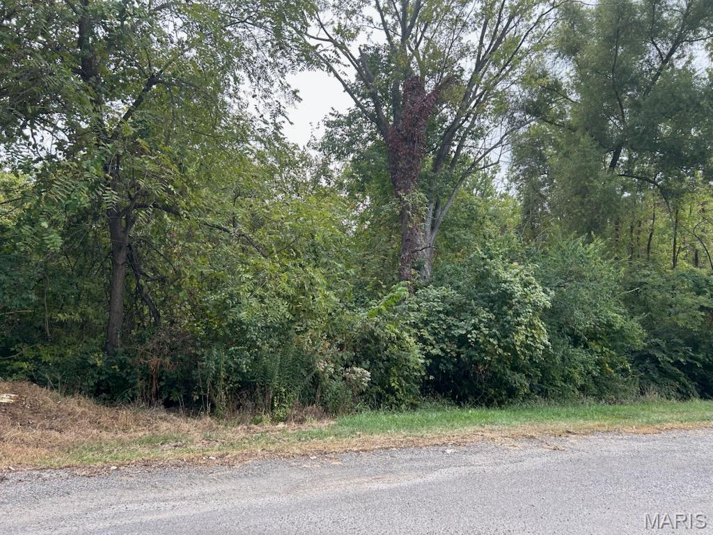 NEVINGER SUB-DIV - Land