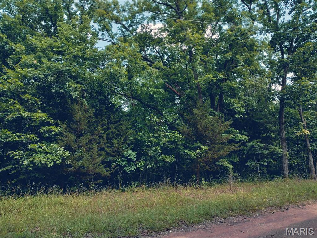 Kingdom Of Callaway Estate - Land
