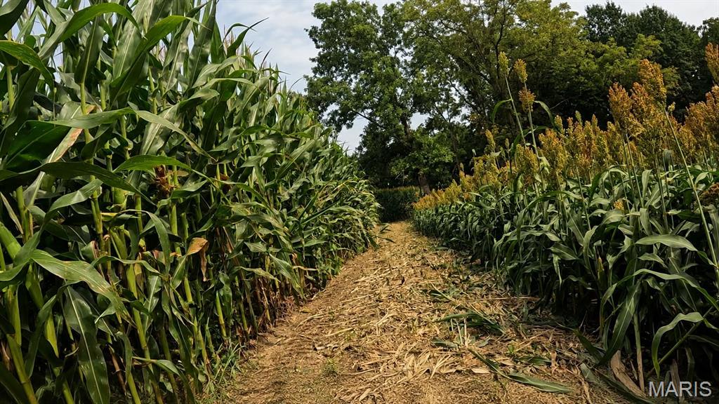 other - Farm