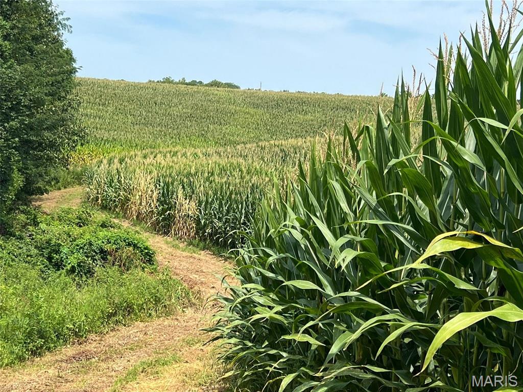 other - Farm