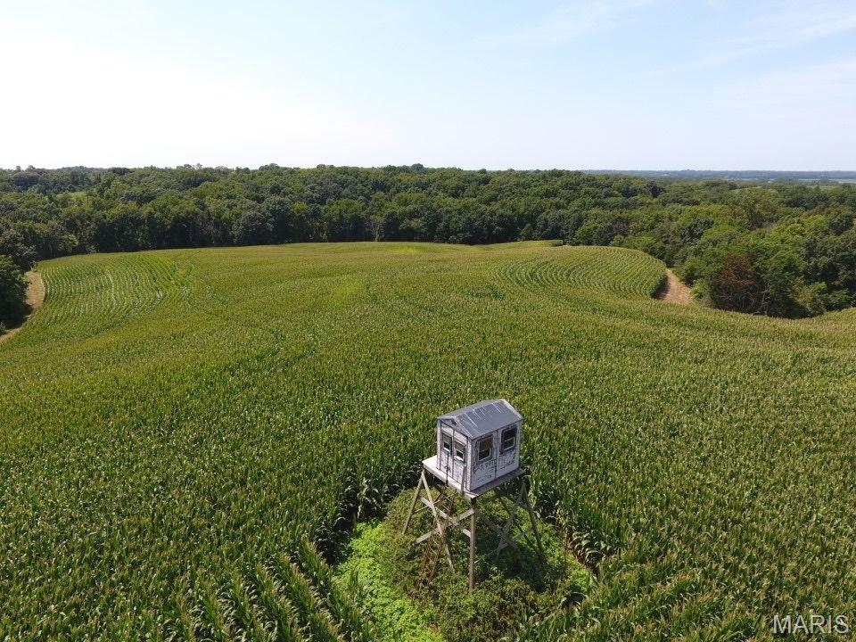 other - Farm