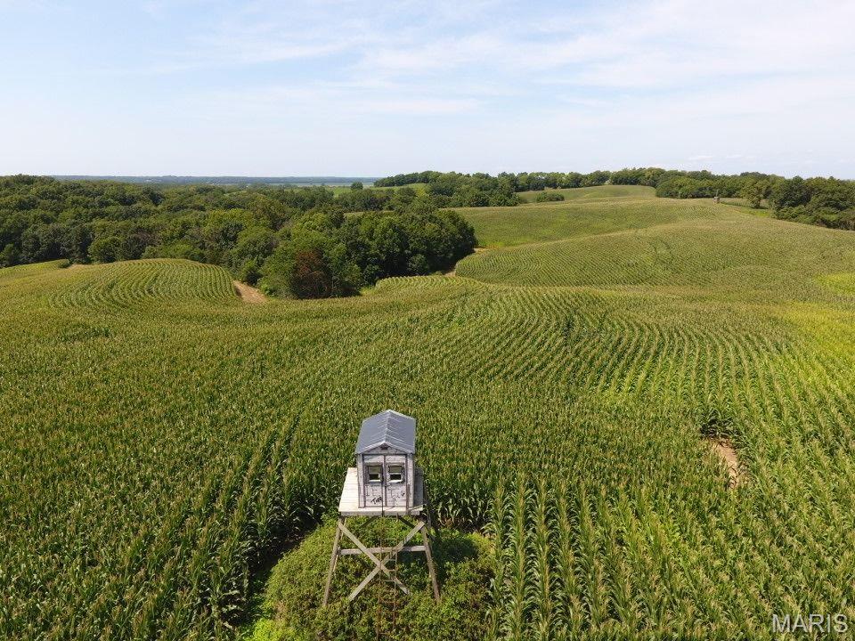 other - Farm