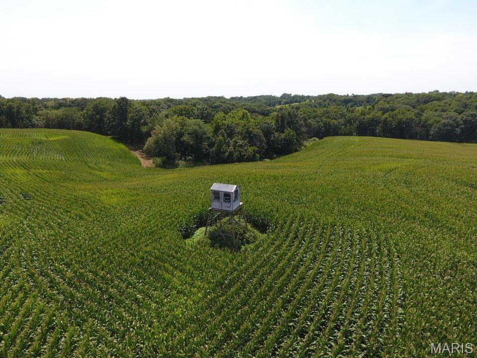 other - Farm