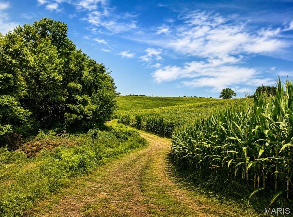 other - Farm