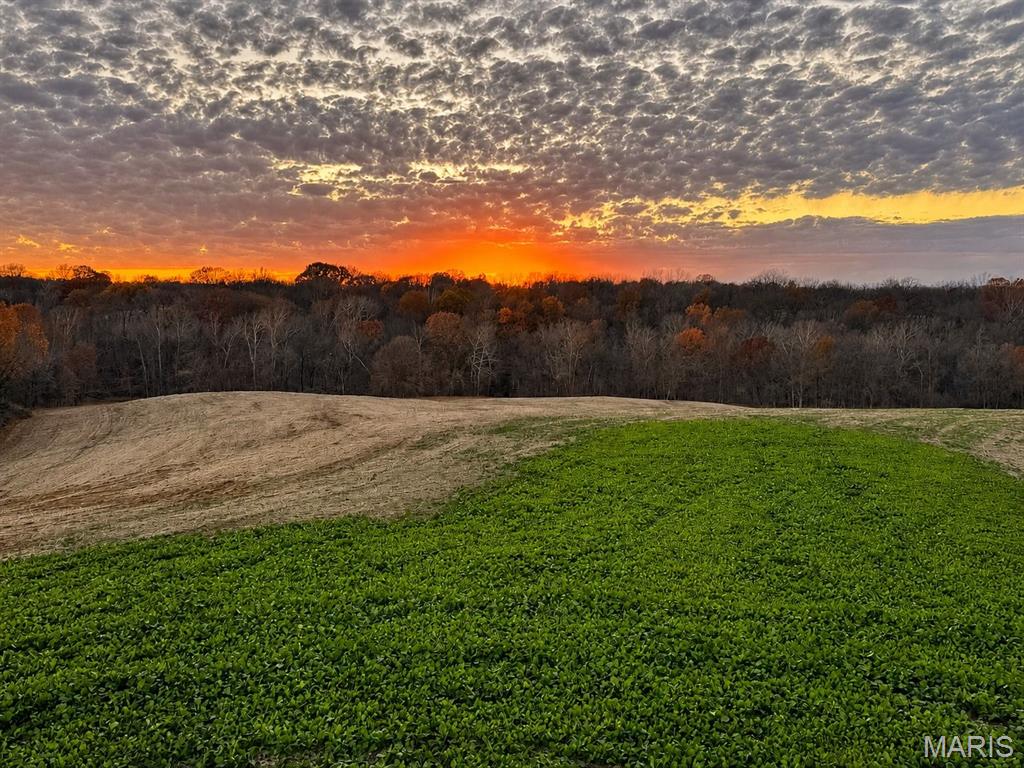 other - Farm