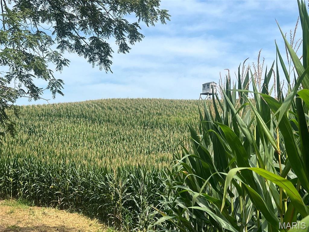 other - Farm