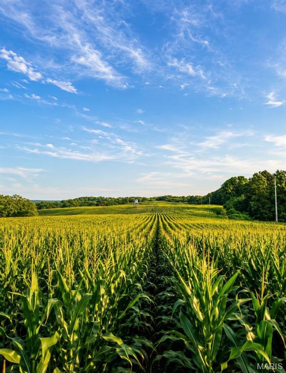 other - Farm