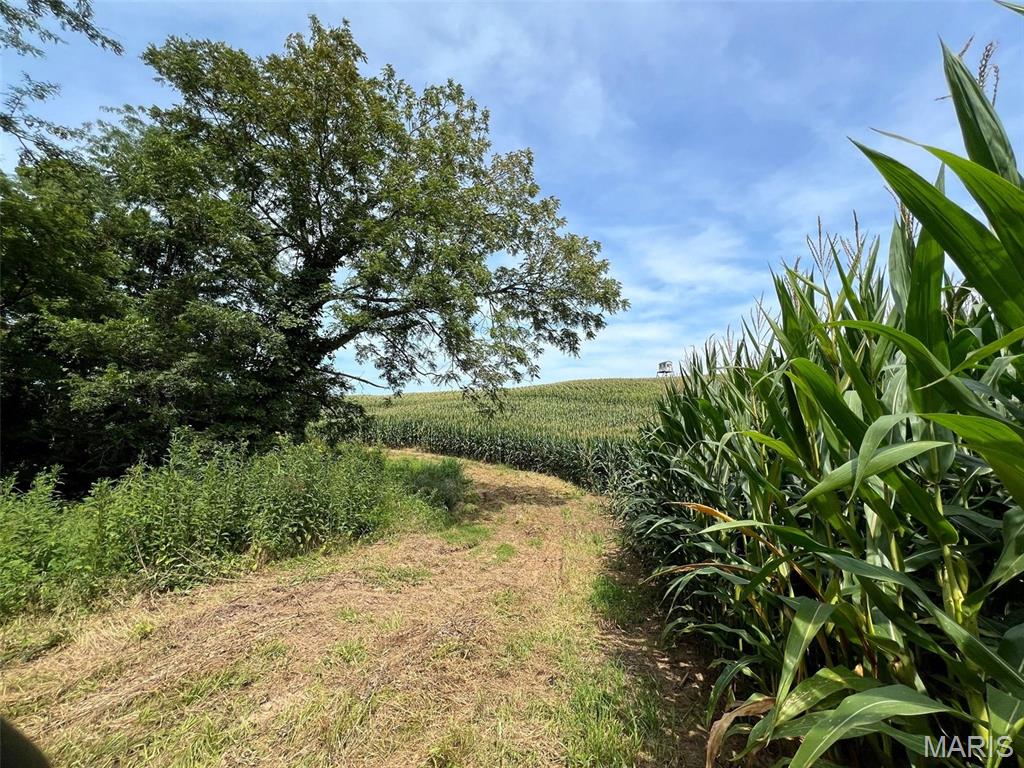 other - Farm