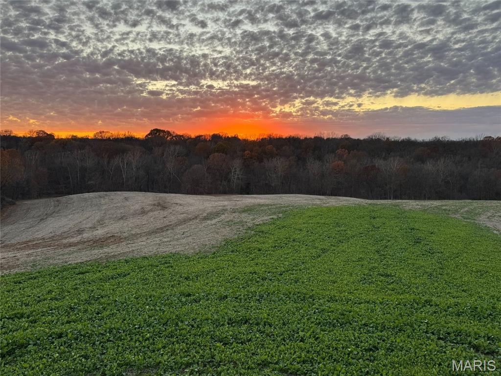 other - Farm