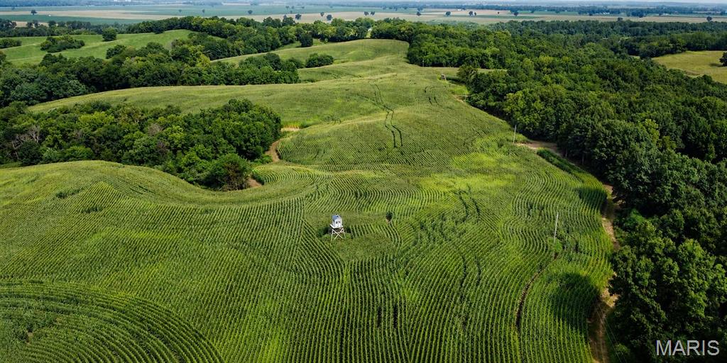 other - Farm