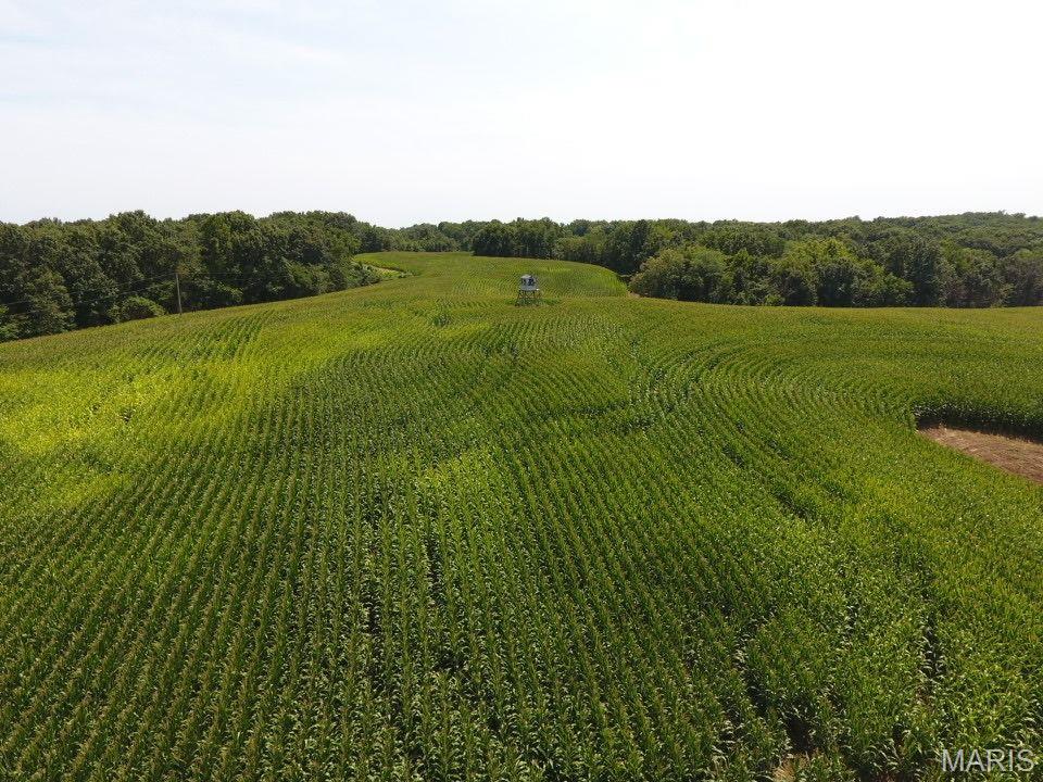 other - Farm