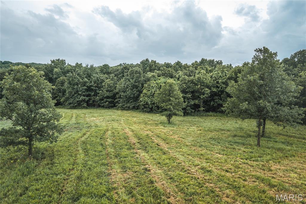 Discover the perfect blend of privacy, recreation, and investment potential on this beautiful 14.3+/- acre tract with frontage along Highway 19 between Steelville and Salem. This lot is one out of five(lot 2), that can be subdivided from a full 90+/- acres. Other possible lots are as follows:
Lot 5: 16.9 +/- acres (marketable timber on the highway frontage with some open areas towards the back of the parcel.)
Lot 4: 18.6 +/- acres (marketable timber throughout, with some open areas. Rectangular lot with highway frontage.)
Lot 3: 15.9 +/- acres (marketable timber throughout, with some open areas. Rectangular lot with highway frontage.)
Lot 1: 24.2+/- acres (marketable timber throughout, ample highway frontage)

All five lots have ample highway frontage, as well as power access through a power line that runs through each lot.

Lot 2 has ample open ground which offers a rare opportunity to build your dream home, weekend getaway, or hunting retreat. Lot 2 also boasts multiple pond building sites. Lot 2 has gated driveway from Highway 19, providing convenient access to multiple potential building sites. Lots 1, 3, 4, 5, can have a driveway easily put in from Highway 19. Outdoor enthusiasts will appreciate being just 15 minutes from public access to the Meramec River, for floating, fishing, and kayaking, with abundant public hunting in Mark Twain National Forrest and Indian Trail Conservation Area. Whether you're looking for a peaceful homesite, a recreational escape, or your own hunting property, this tract checks all the boxes. Wildlife is abundant, and the wooded setting offers seclusion.
