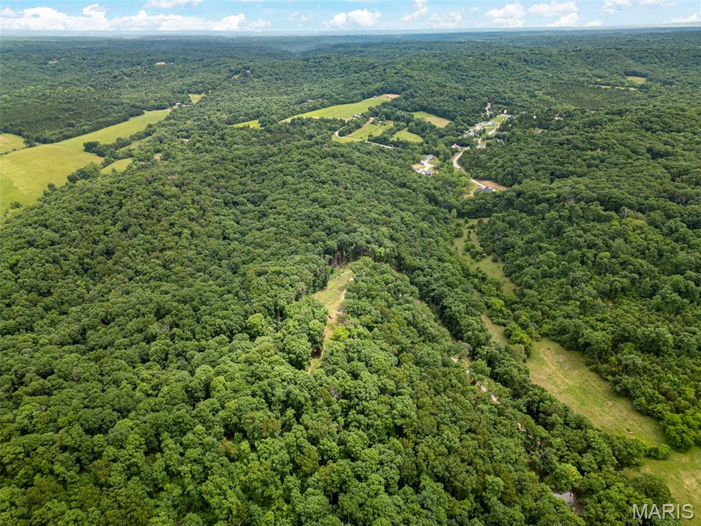 27+ ACRES OF PURE OPPORTUNITY! If you are looking to build your dream estate or a secluded woods get-a-way, THIS IS IT! Private and wooded to carve out your little piece of heaven. 20 ft easement for ingress and egress bordering neighbors property. Power lines border the back side of property. Close to amenities.