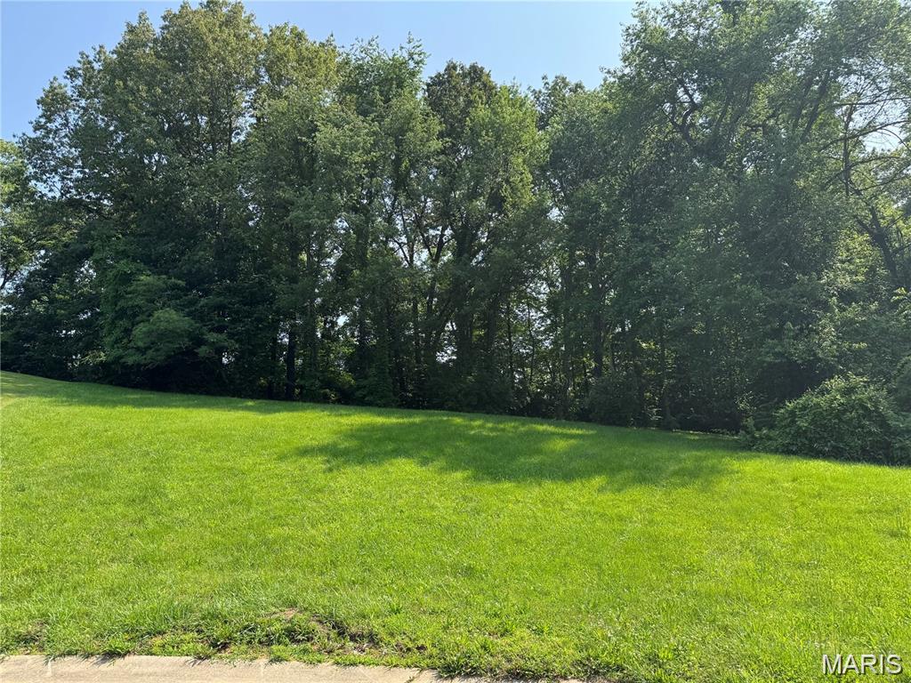 Build Your Dream Home in Rocky Creek.  Nestled in the heart of the highly sought-after Rocky Creek Neighborhood, this wooded cul-de-sac lot offers a rare opportunity to create your perfect home. Surrounded by beautifully crafted residences and mature trees, this is the last available lot in the subdivision.  Lot was recently cleared and ready to bring your own builder and vision—this peaceful, private setting is ready for your dream home.