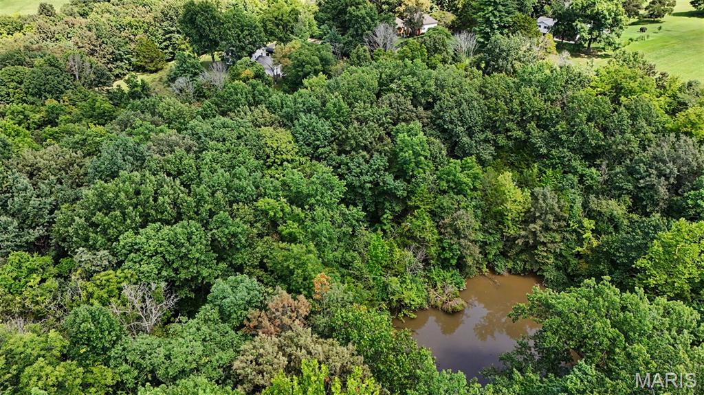 Bluff Hill Acres - Land