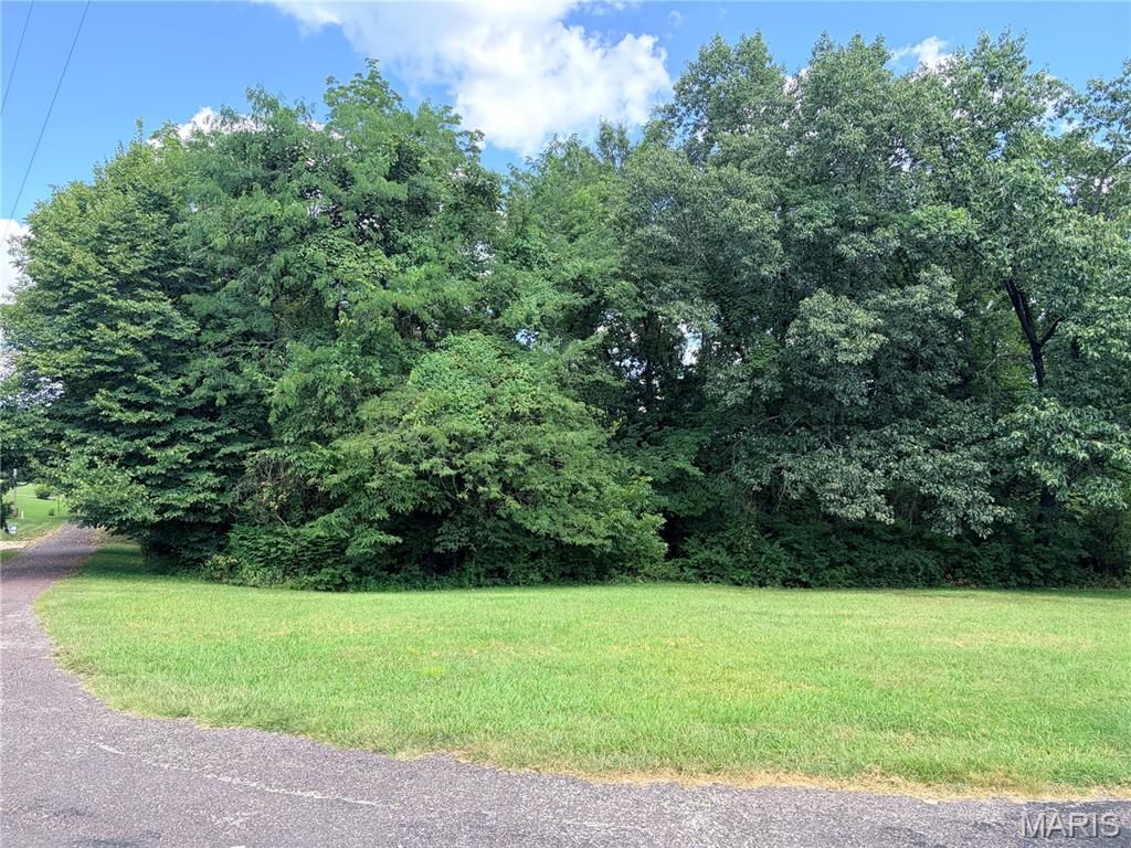 Bluff Hill Acres - Land
