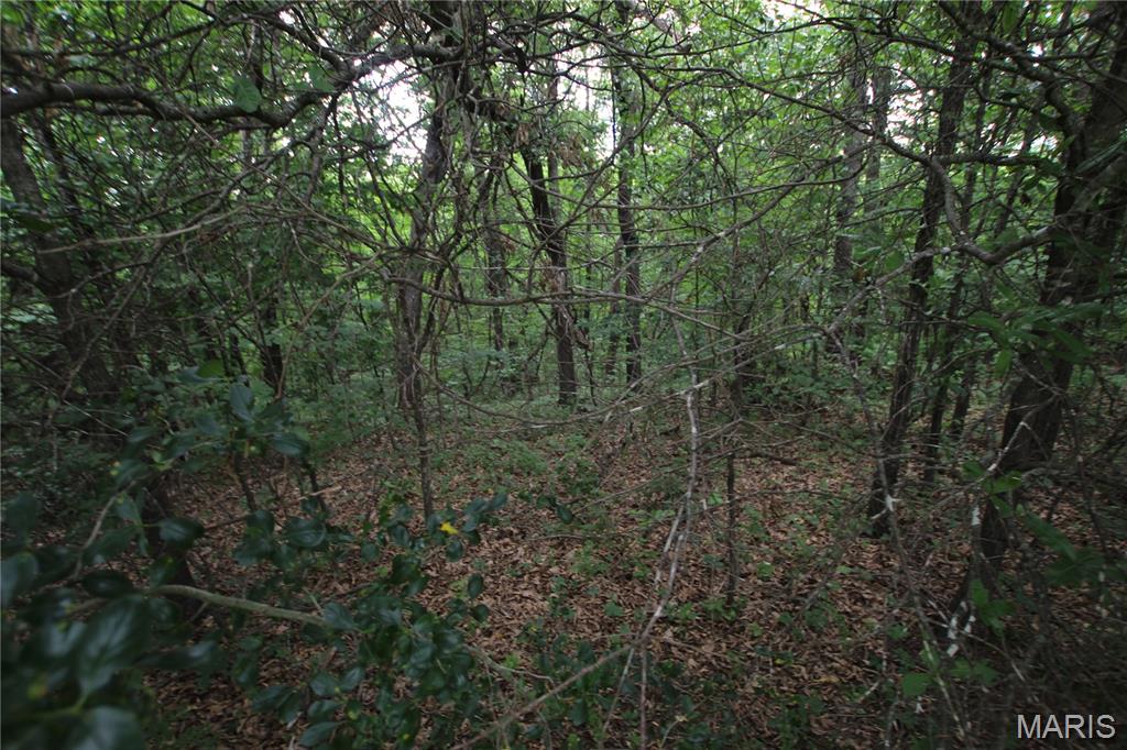 Ballyglen Estates - Land