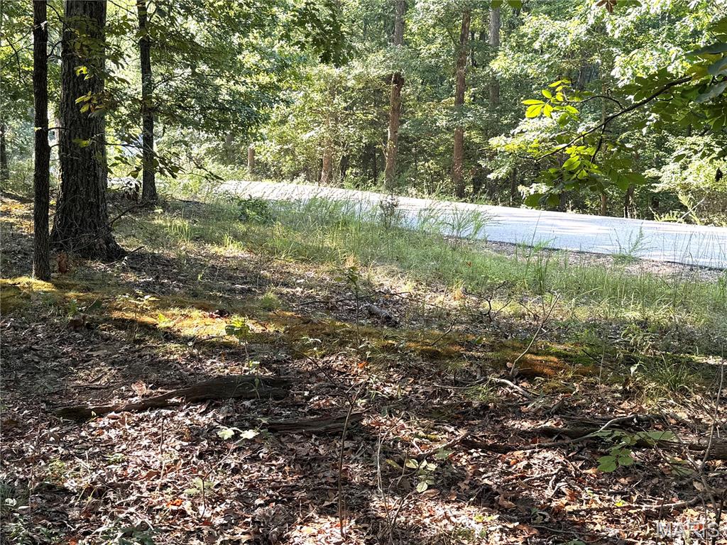 Timbers At Fox Mountain - Land