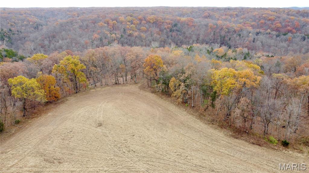 Polston Farms - Farm