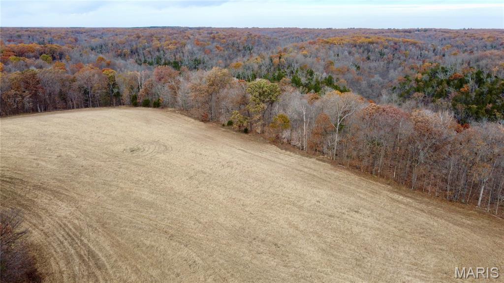 Polston Farms - Farm