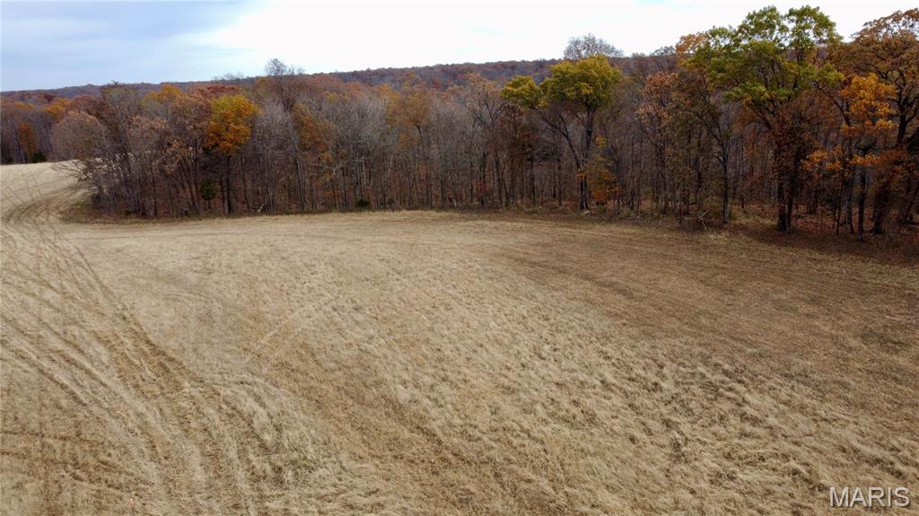 Polston Farms - Farm