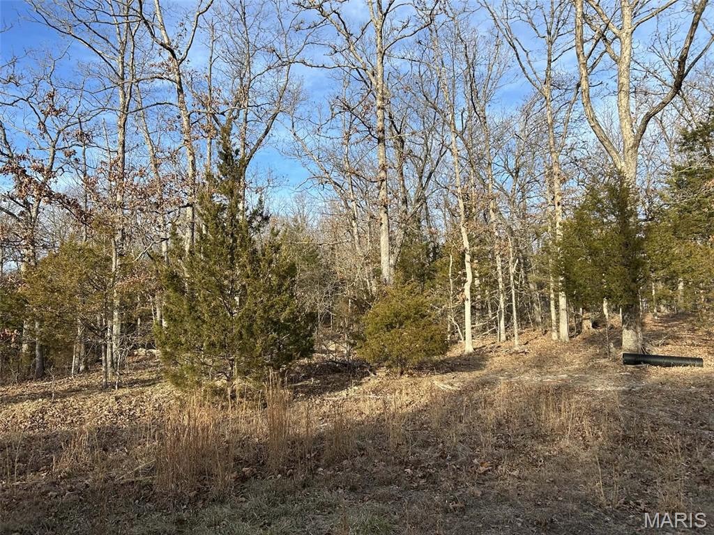 Danz Forest - Land