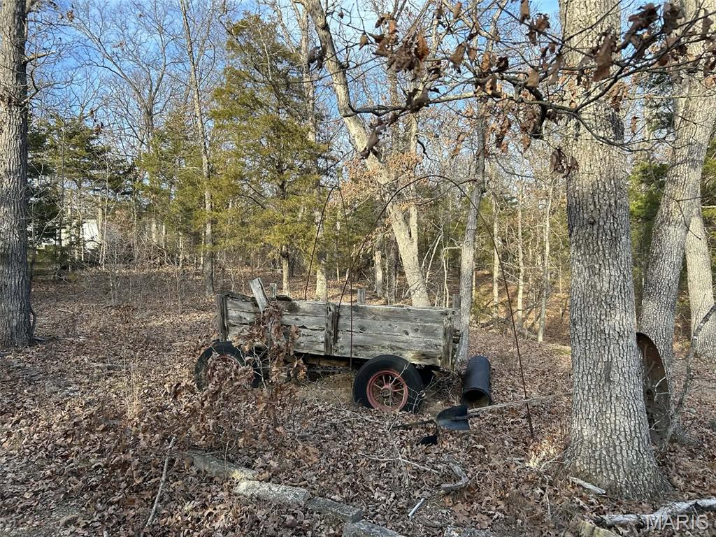 Danz Forest - Land