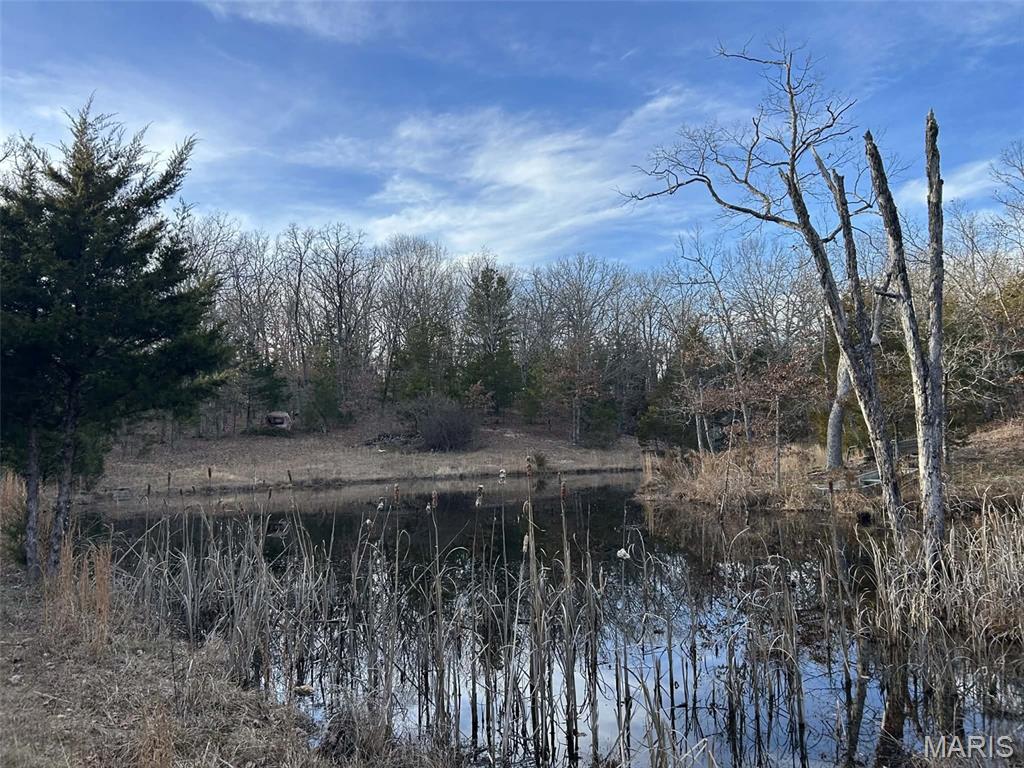 Danz Forest - Land