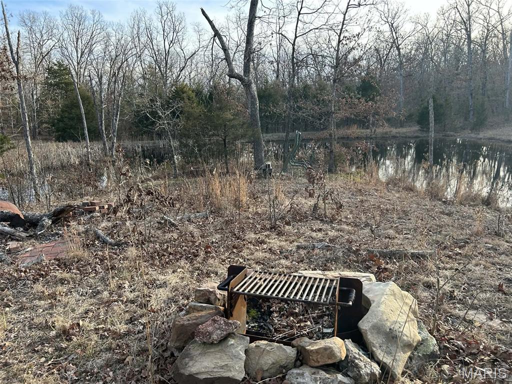 Danz Forest - Land