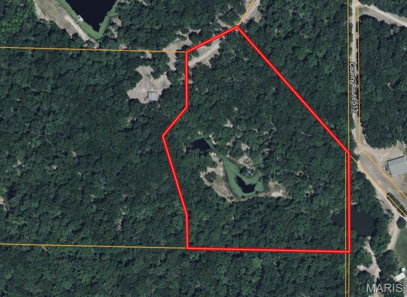 Danz Forest - Land