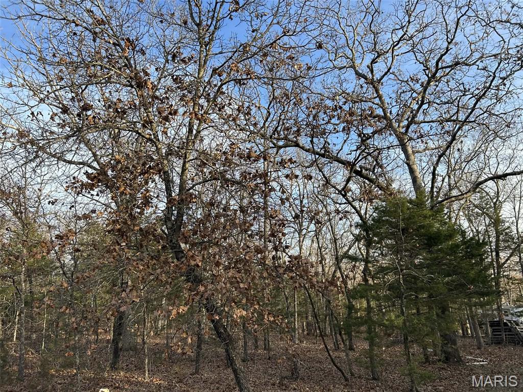 Danz Forest - Land