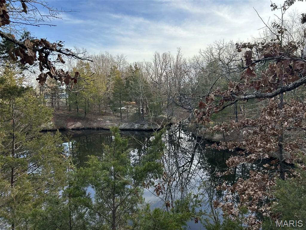 Danz Forest - Land