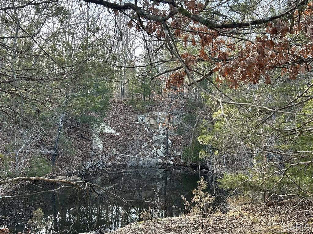 WHAT A FIND! Tucked into the rolling woods of Rosebud, Missouri, this versatile lot offers the perfect blend of seclusion, accessibility, and potential. Whether you’re dreaming of a peaceful forever home or a private recreational retreat, this property is ready to be transformed with a little vision and elbow grease into a true showplace.
A solid, drivable road with multiple culverts and a well-built rock base provides reliable access throughout the property. Inside, you’ll find several excellent building sites thoughtfully positioned for privacy and views, a large pond—nestled among mature timber, and an existing fire pit area ideal for evenings spent under the stars with family and friends.
Conveniently located within reach of St. Louis, this property offers the rare opportunity to enjoy quiet country living without sacrificing access to city amenities. Clean it up, shape it to your vision, and create something truly special in a setting that feels worlds away yet close to everything that matters.