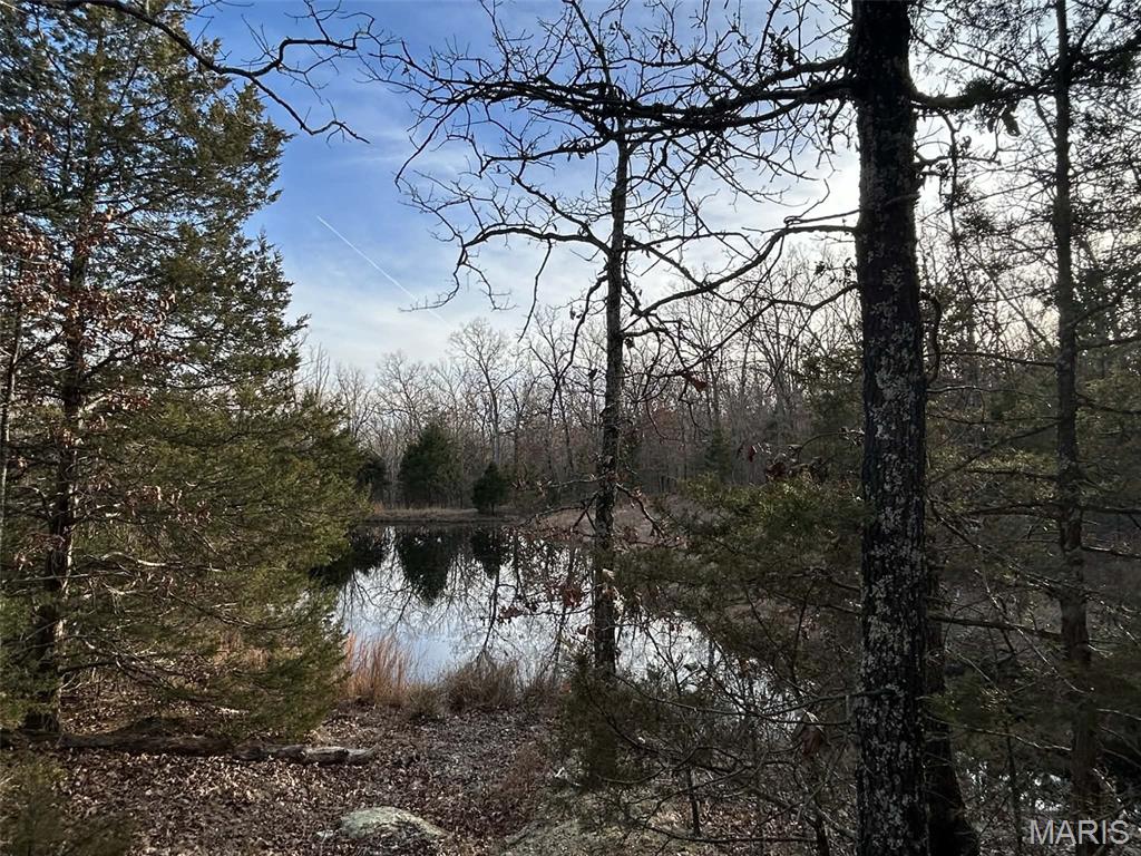 Danz Forest - Land