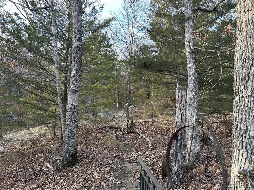 Danz Forest - Land