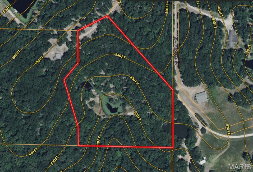 Danz Forest - Land