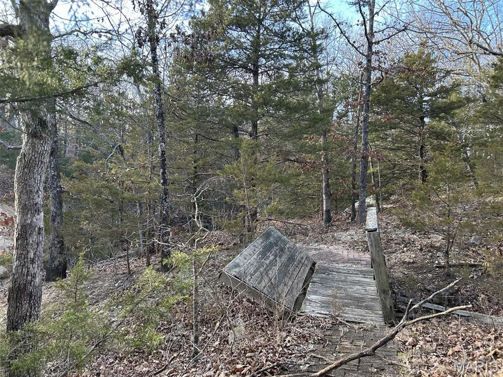 Danz Forest - Land