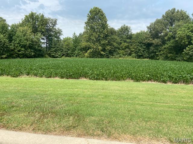 Looking to build in perfect location ? Timber Creek Subdivision has 9  lots  available to choose from. As you enter the Bricked entrance , you will notice how well this subdivision  is maintained. It's quiet and close to Dexter schools ! City water and sewer, with Ameren electric lines underground and natural gas.  Plat map available.