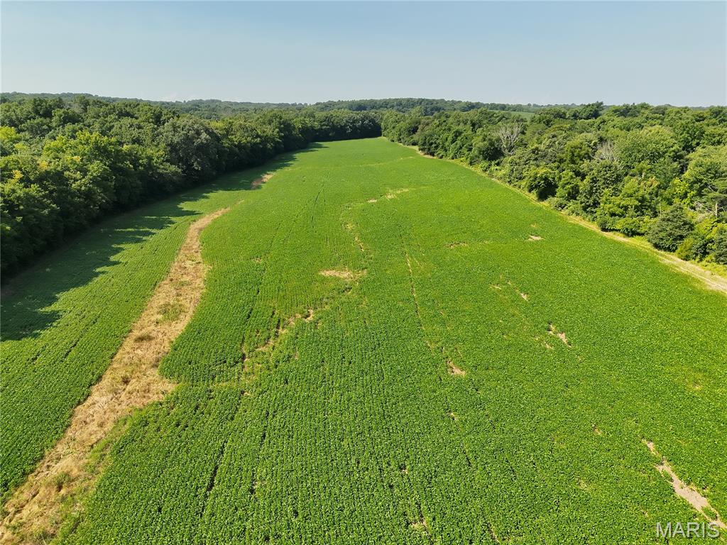 N/A - Farm