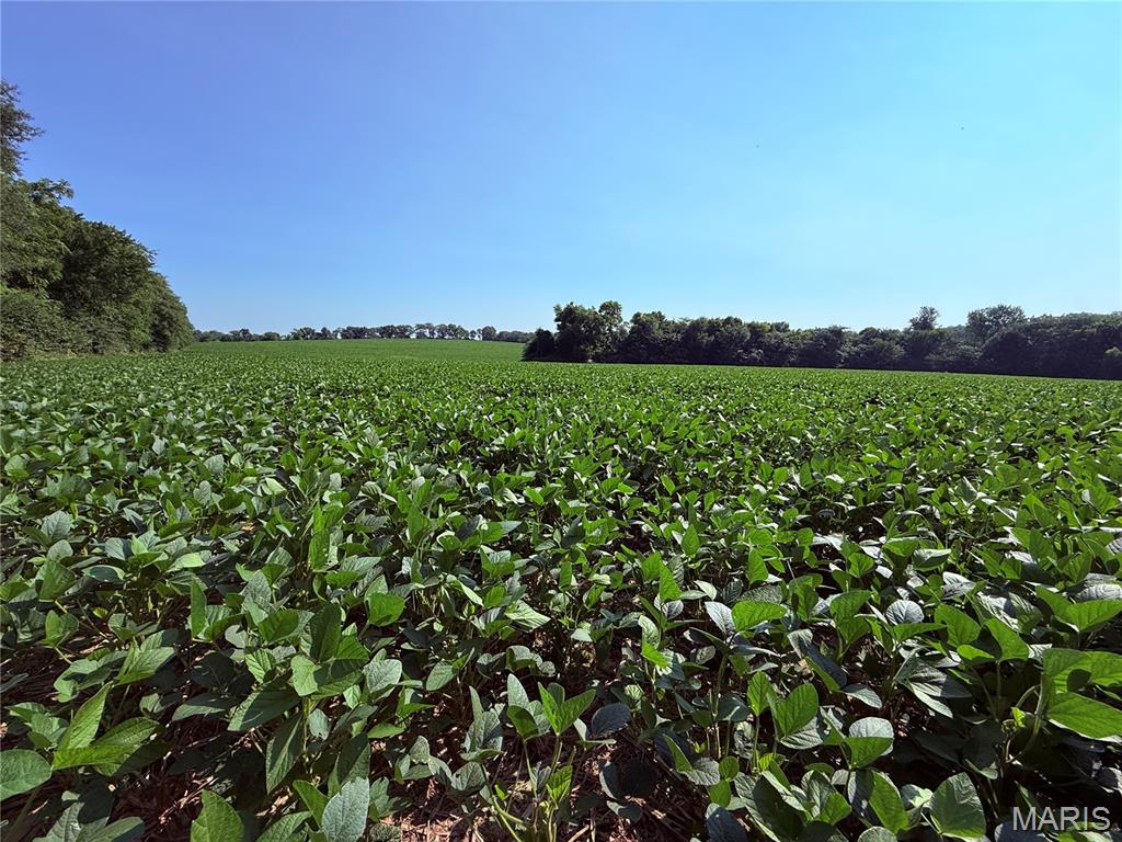 N/A - Farm
