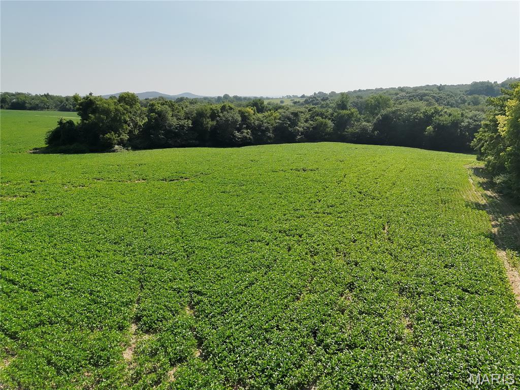 N/A - Farm