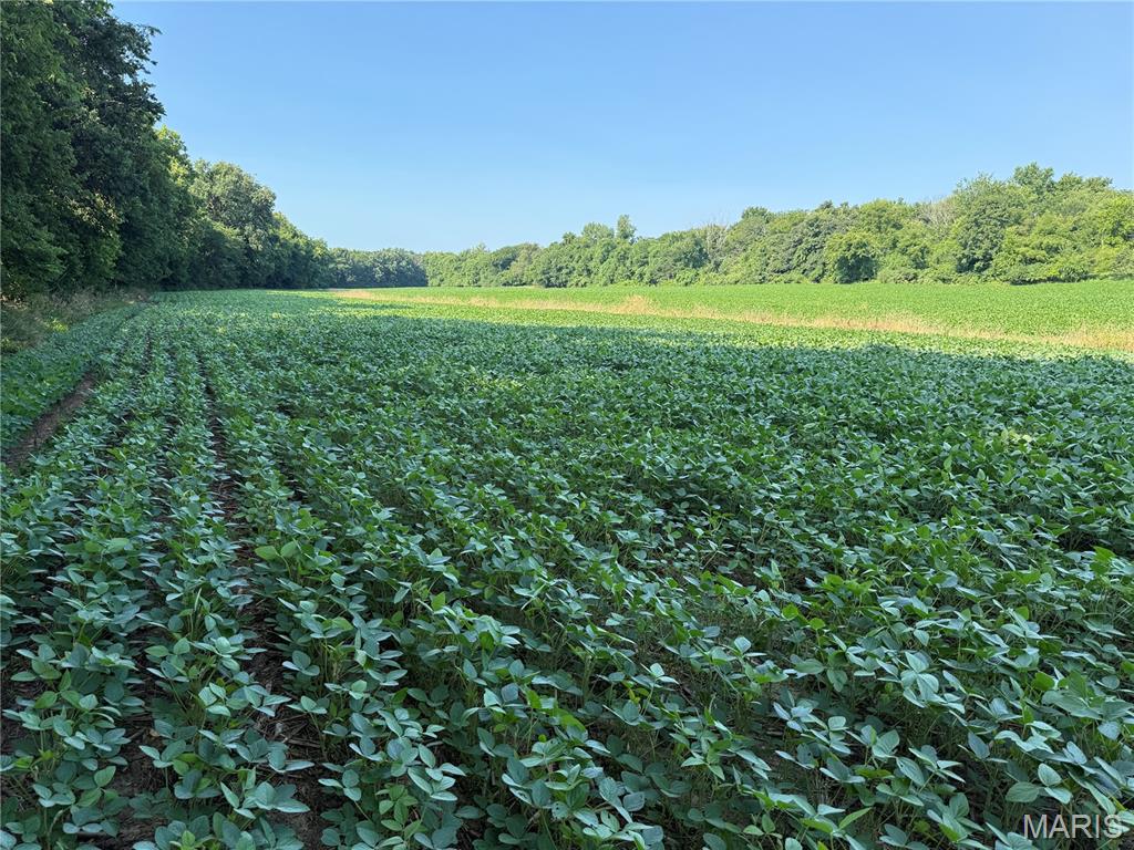 N/A - Farm