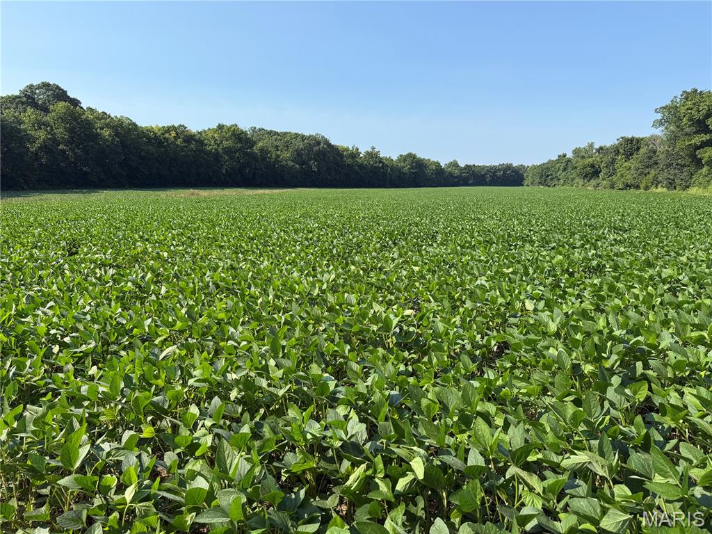 N/A - Farm