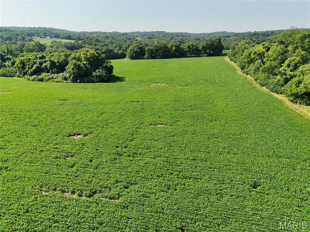 N/A - Farm