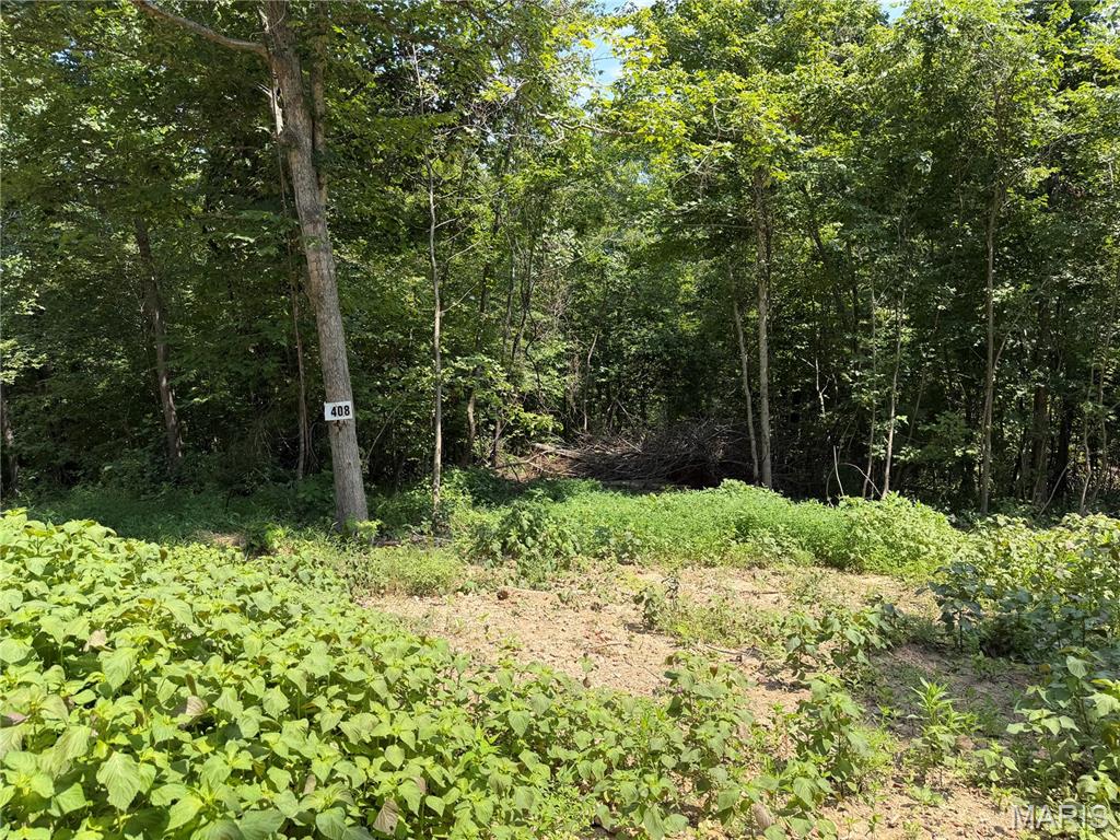 Discover the beauty, freedom, and tranquility of the Missouri Ozarks with these exceptional land offerings located south of Fredericktown, just off Highway 67 and near the Mark Twain National Forest. With multiple tracts and a variety of acreage options available, there is an opportunity to find the perfect piece of land to fit your vision. The nearby Mark Twain National Forest offers more than 22,000 acres of public land to explore, adding even more opportunity for outdoor adventure and recreation.
Many of these affordable wooded pieces offer beautiful natural surroundings, with select tracts featuring creek access, springs, and scenic views of the surrounding Ozark landscape. With no restrictions, you have the freedom to enjoy your property your way—whether that means hunting, primitive camping, building, riding ATVs, or simply finding a peaceful place to escape the pressures of everyday life. These tracts also offer access via a deeded easement gravel road leading from the county road to the property, while nearby Twelve Mile Creek provides additional opportunities to fish, explore, and enjoy the outdoors.
This is your chance to unplug, reconnect with nature, and enjoy the freedom and beauty of the great outdoors in Southeast Missouri. Whether you're searching for a private hunting retreat, a weekend getaway, a place to camp and explore, or land to create your own outdoor escape, there are many amazing tracts to choose from. Call today for more information and to explore the available options!
