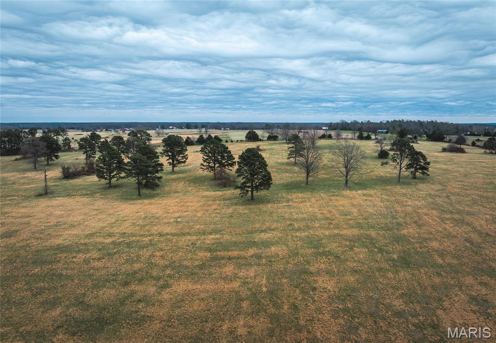40 m/l acres in Texas County set up and ready for agricultural use, featuring mostly open pasture ideal for running cattle or other livestock. The property is perimeter fenced and includes a pond, providing a reliable water source for your operation.

Scattered throughout the acreage is a beautiful stand of mature pine trees, offering natural shade for livestock while adding character and privacy—making it an ideal setting for a future homesite.

The area is known for a strong population of deer and turkey, and this property offers excellent habitat with a combination of open ground and scattered timber, making it just as appealing for hunting as it is for farming.

Located approximately 30 minutes from the Current River, you’ll have quick access to some of the best fishing and floating in the region, along with nearby destinations like Echo Bluff State Park and Montauk State Park. This part of Missouri also offers a large amount of public land access, providing endless opportunities for hunting, hiking, and outdoor recreation.

A well-rounded property combining strong agricultural potential, excellent building sites, and outstanding recreational appeal.