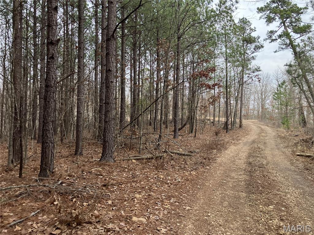 This 5.27 acre Ozark hideaway includes a great level area for a home, cabin or campsite. It also has deeded access to a nearby shared spring-fed stream, a road along two sides, and sits within about a mile of Mark Twain National Forest. 
This affordable wooded oasis comes with NO restrictions, and can be had for less than the price of a used truck or SUV. And there's a nice deeded easement gravel road leading from the county road to your property.
Hunt, camp, build, ride ATVs on your own land, or fish or play in the shared creek section ... near endless opportunities.
This property is wooded (with a great stand of pines and hardwoods) and rolling. You are within a mile of the 22,176-acre Mark Twain National Forest ... public ground where you can also hunt, ride and explore. All this, and only about 2 miles by road from U.S. 67.
Use this wooded, secluded property as a base camp for adventure. This and surrounding land is teeming with deer, turkey and small game, and the occasional feral hog or maybe a black bear.
There is additional acres available which adjoin this piece if interested.