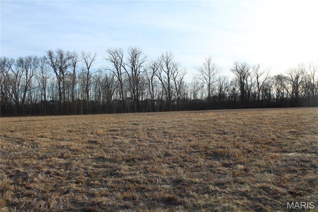 This 2.4+/- acre lot offers the flexibility for your next big commercial or residential project. Currently zoned for agriculture, this perfectly situated parcel with high visibility and easy access right off of Highway N in Cottleville, presents a prime candidate for rezoning to commercial or residential use. Imagine your business or a private luxury enclave with the serene Dardenne Creek meandering through the rear of the property. This piece is very flat and offers a nice wooded backdrop towards the rear. Need more space? Double your impact to 4.8+/- acres by conjoining this lot with the adjacent 2.4 +/- acre parcel (also listed on MLS). Both parcels are a part of the "Golf Cart Community" that allows any owner to drive their golf cart from the property onto the public sidewalks through Cottleville! Properties with this combination of highway N access, visibility, Dardenne Creek, and growth potential are a rare find in St. Charles County. This lot is in the Flood Zone which requires any permanent building slab to be raised to an approved height (estimated 3-4ft fill dirt needed per Cottleville.) This listing price reflects only lot #1, a 2.4+/- acre parcel.