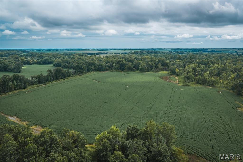 Check out this exceptional 48 acres located near Rutledge. This farm is one of the best small hunting tracts you will find in Missouri that offers a big punch with small acreage.  With around 25 acres of highly productive tillable this farm has some good income to offset some cost.  Current cash rent on the farm is $200/acre.  This farm has proven results and the deer and turkey are second to none!  Check this one out while it lasts.