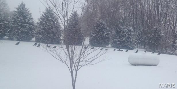 Not in a subdivision - Residential
